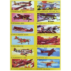 EVA repülő Autó, jármű REGIO