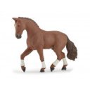 Alezan hannoveri ló 51556