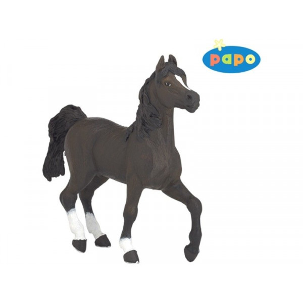 Arab telivér 51505