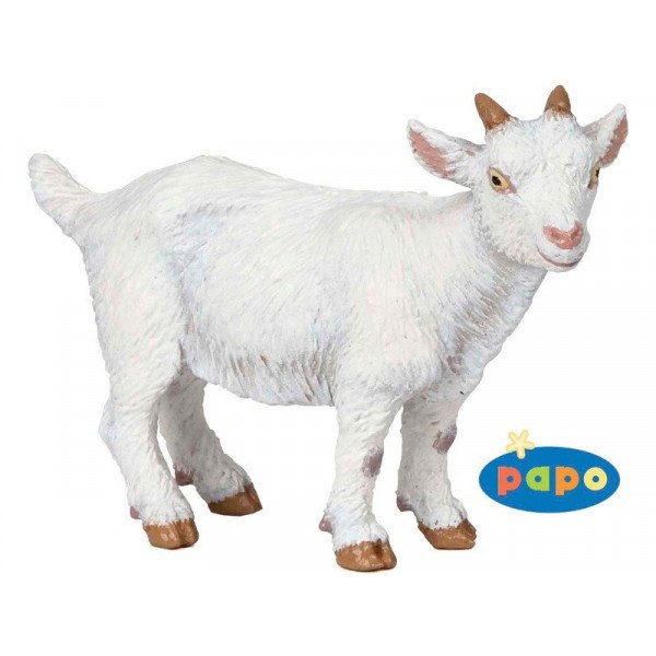 Fehér kecske gida 51146