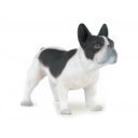 Fekete-fehér francia bulldog 54006