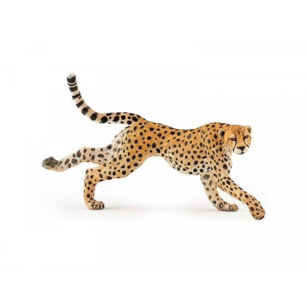 Futó gepárd 50238