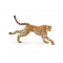 Futó gepárd 50238