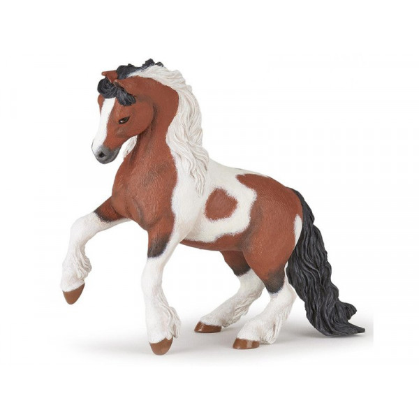 Irish cob ló 51558