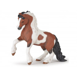 Irish cob ló 51558