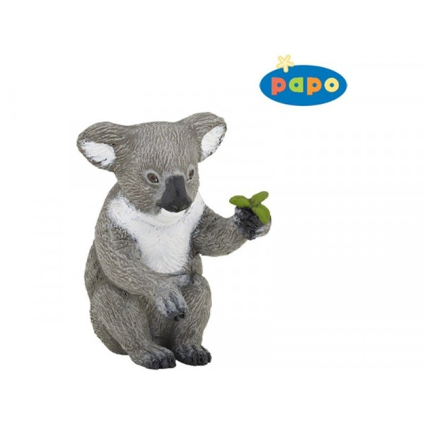 Koala.50111