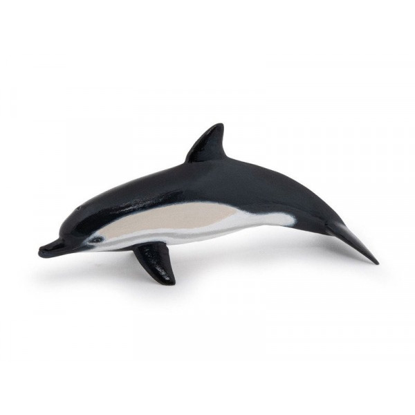 Közönséges delfin 56055