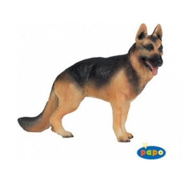 Németjuhász kutya 54004