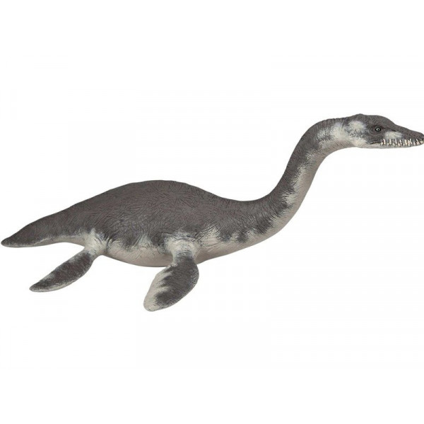 Plesiosaurus 55021