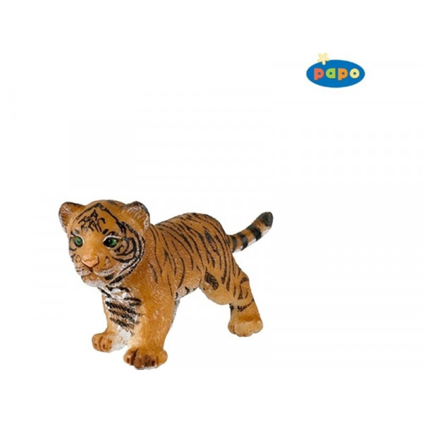 Tigris kölyök 50021