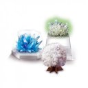 Kristálynövesztő tudomány - 03917EU