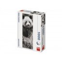 Puzzle 1000 db panoráma - panda 545441