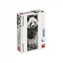 Puzzle 1000 db panoráma - panda 545441