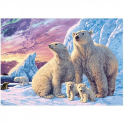 Puzzle 1000 pcs, titkos - Jegesmedvék 532786