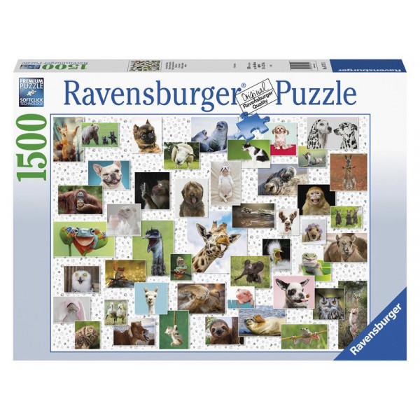 Puzzle 1500 db - Vicces állatok 16711