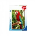 Minipuzzle - Állatok 05156