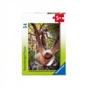 Minipuzzle - Állatok 05156