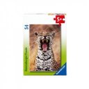 Minipuzzle - Állatok 05156