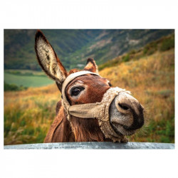 Puzzle 500 db - Csacsi 502482