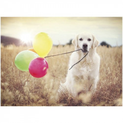 Puzzle 500 db - Lufik 16585