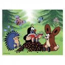 Fa mesekocka 12db.Kisvakond és a madár 641129