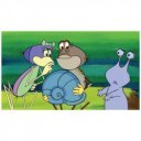 Vizipók csodapók II. - Mindenki tévedhet