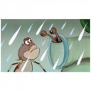 Vizipók csodapók II. - Mindenki tévedhet