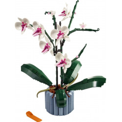 LEGO 10311 Orchidea