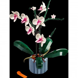 LEGO 10311 Orchidea
