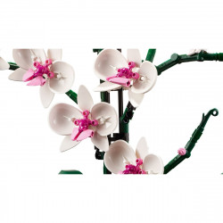 LEGO 10311 Orchidea