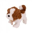 Sétáló Bernáthegyi kutyus 3114-2 HU/RE