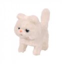 Sétáló perzsa cica 3127-2 HU/RE