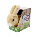 Ugri nyuszi 3183-1HU/RE