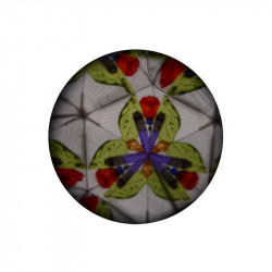 Halacskás kaleidoszkóp, 2 szín 24459