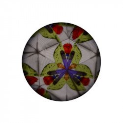 Halacskás kaleidoszkóp, 2 szín 24459 Ajándék REGIO
