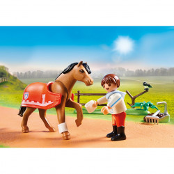 Playmobil 70516: Gyűjthető póni Connemara
