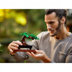 LEGO 10281 Bonsai fa
