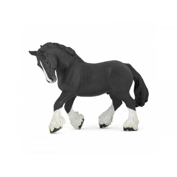 Black Shire ló 51517