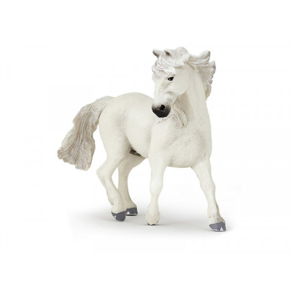 Camargue-i ló 51543