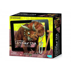 Triceratops  7003 Kreatív készlet 4M