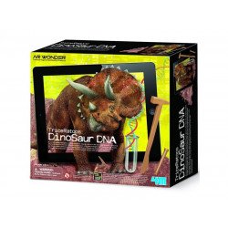 Triceratops  7003 Kreatív készlet 4M