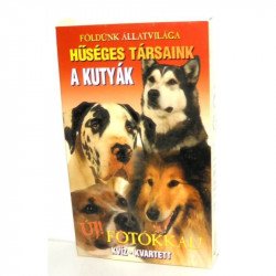 A kutyák Kártya Nincs