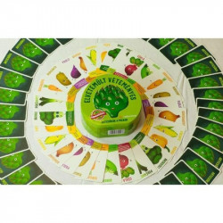 Gamewright - Elvetemült veteményes társasjáték GWA Kártya Nincs