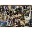 Puzzle 1000 db - Harry Potter 15170