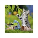 Ravensburger Puzzle 3x49 db - Édes kiscicák