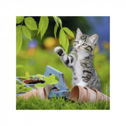 Puzzle 3x49 db - Édes kiscicák 08046