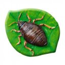 SES foszforeszkáló állatok gipszkiöntõ készlet