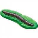 SES foszforeszkáló állatok gipszkiöntõ készlet