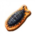 SES foszforeszkáló állatok gipszkiöntõ készlet