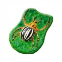 SES foszforeszkáló állatok gipszkiöntõ készlet